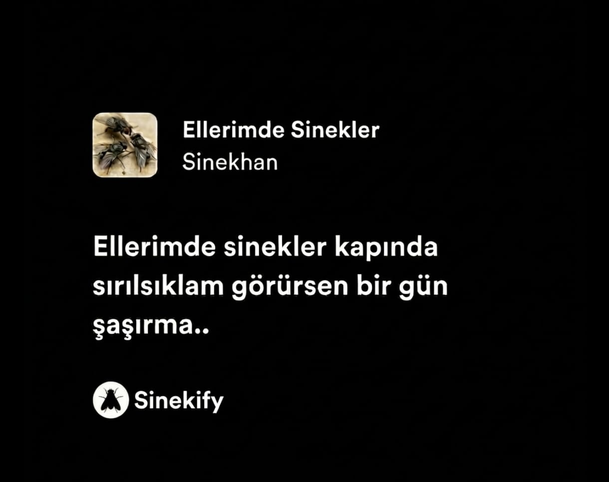 Galeri fotoğrafı 1